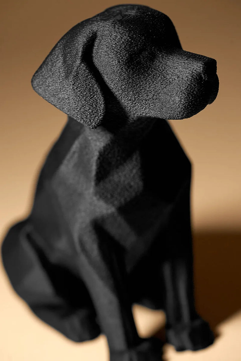 Noir – Der Treue